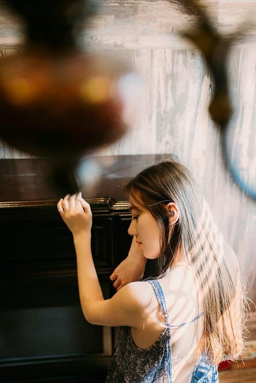 枫林长空随心论坛网站